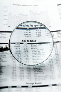 楚雄同志供卵选性别：nt值偏高风险大吗下一步检查什么？